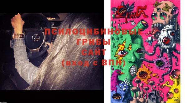 мескалин Гусев