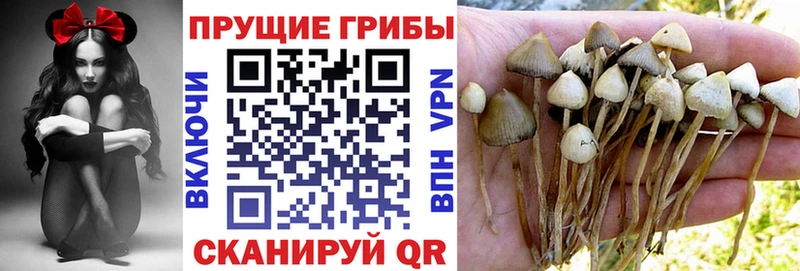 Псилоцибиновые грибы Magic Shrooms  Купить  Покров 